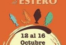 feria-del-estero_2016-213×300